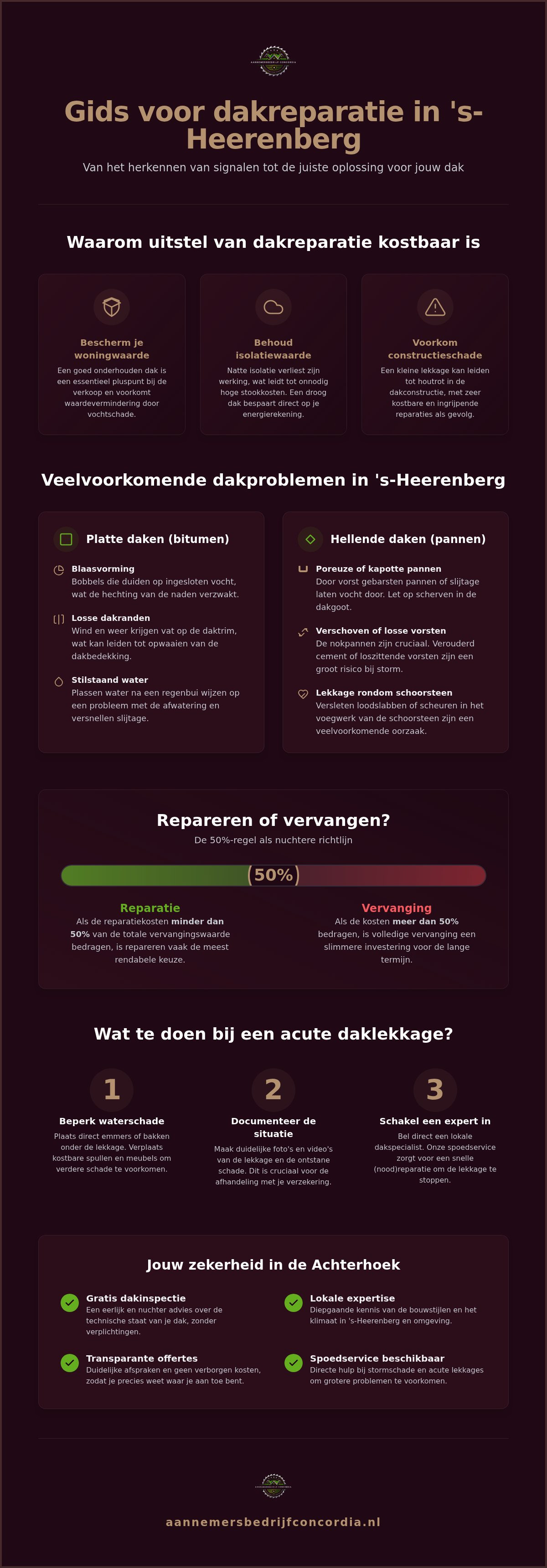 Dakreparatie 's-Heerenberg