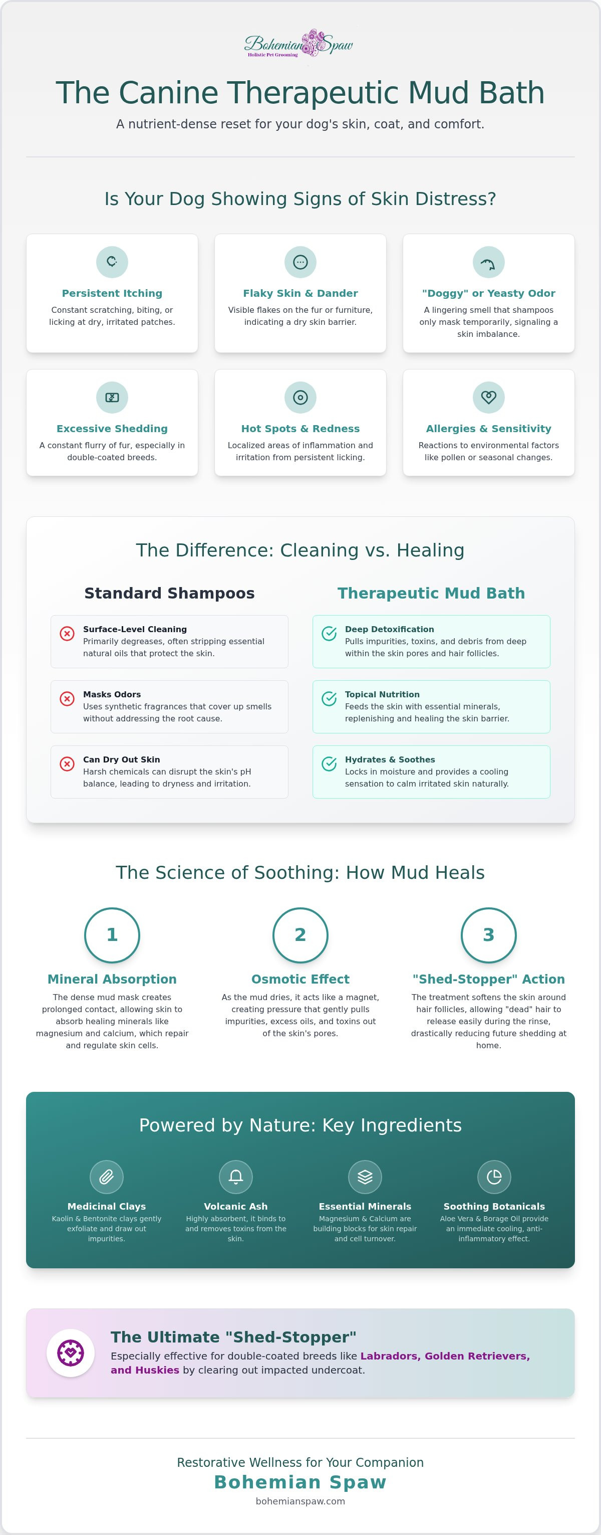 Canine therapeutic mud bath treatment