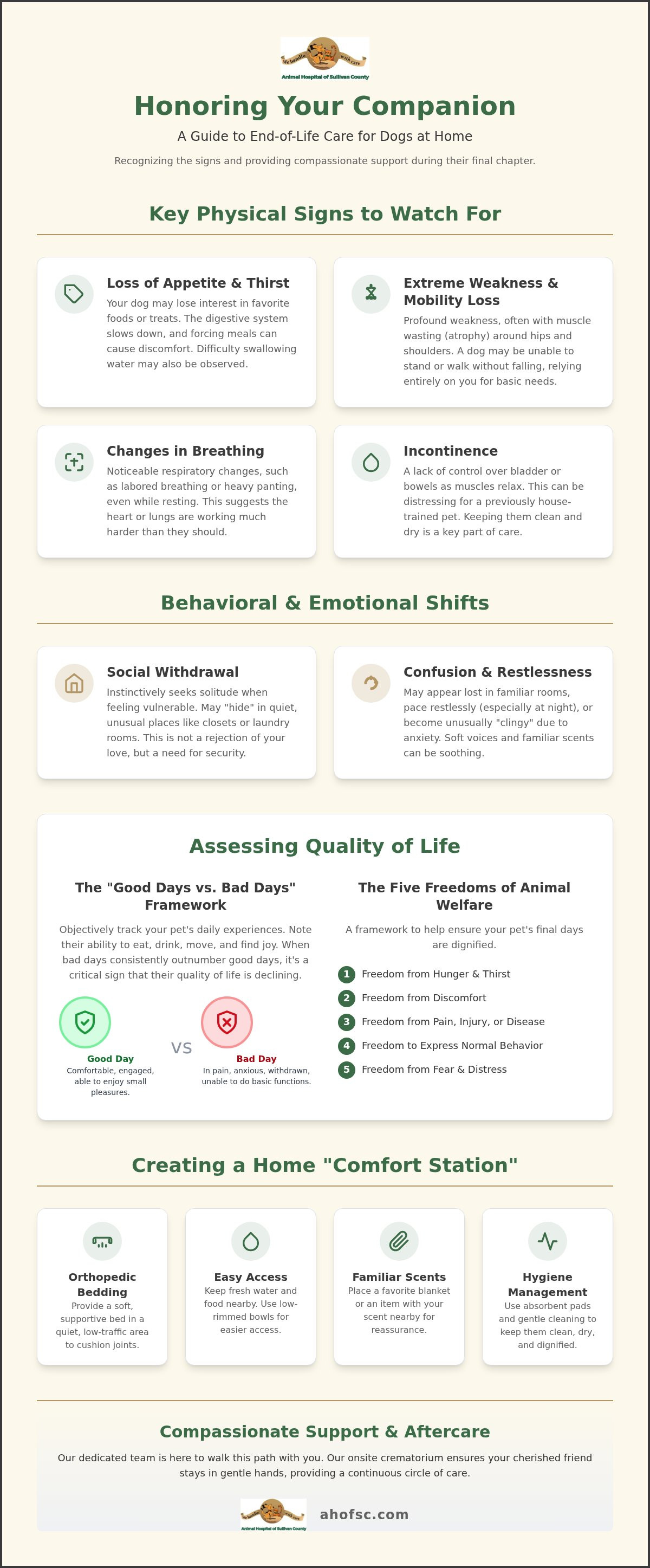 End of life care for dogs at home signs