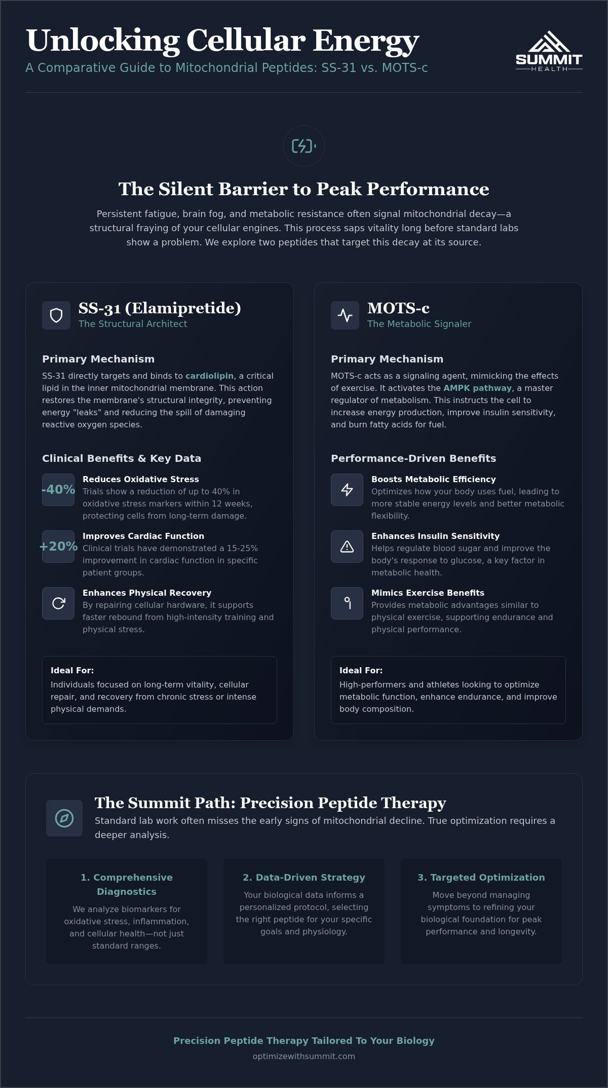 SS-31 and Mots-C: What each peptide does for mitochondrial health