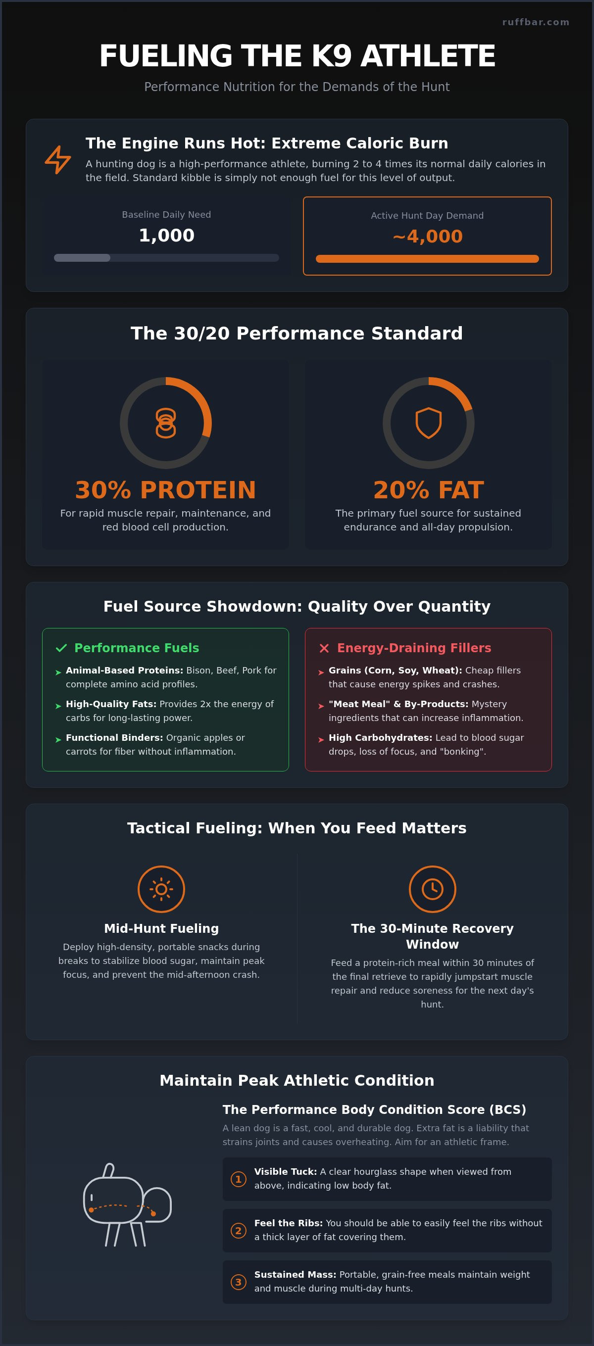 What to feed a hunting dog during the season