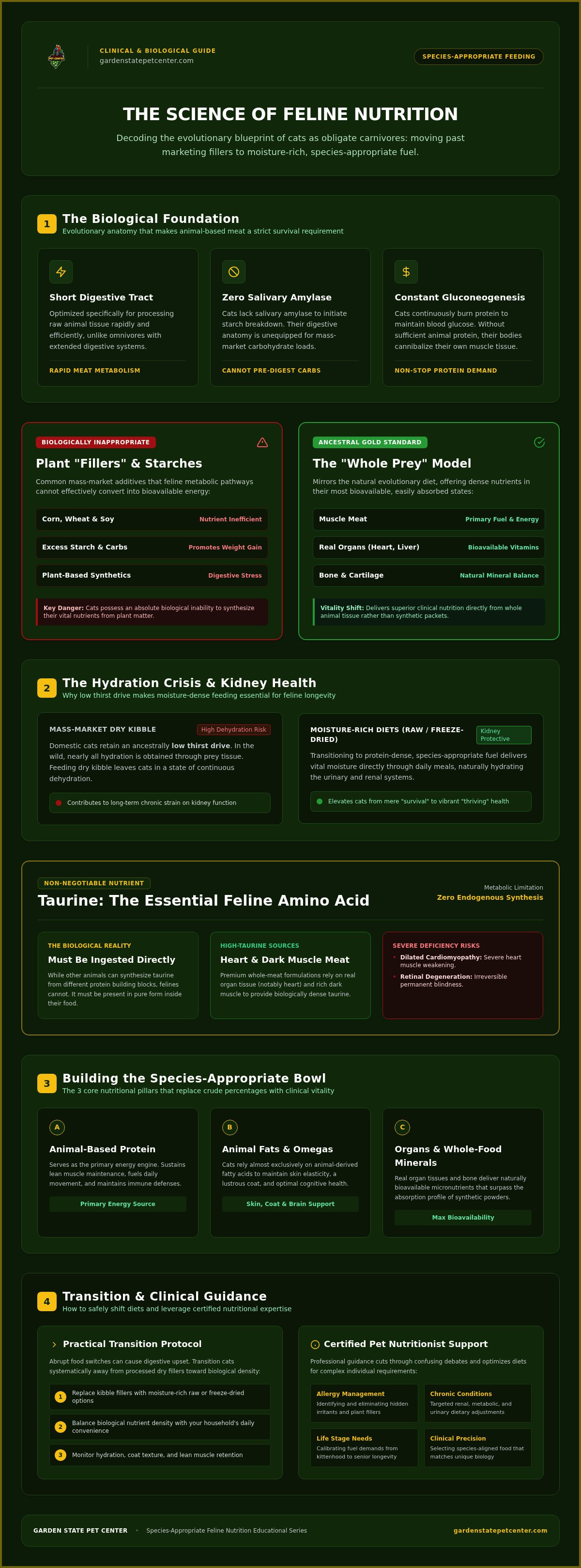 Feline Nutrition