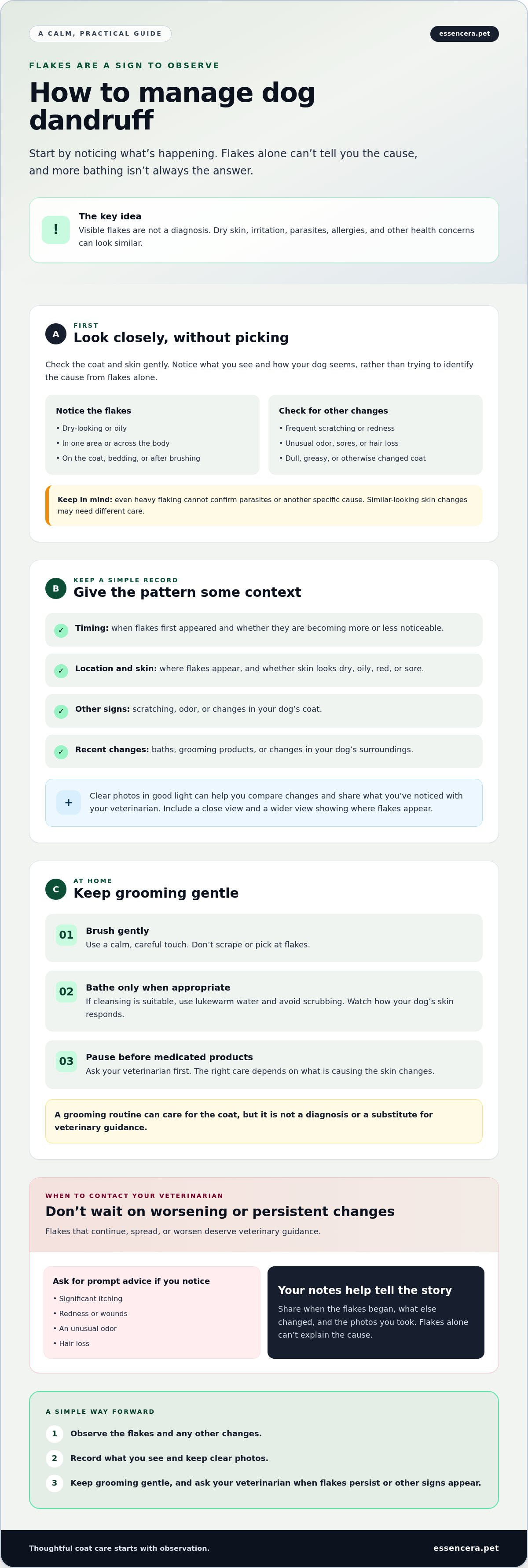 How to manage dog dandruff