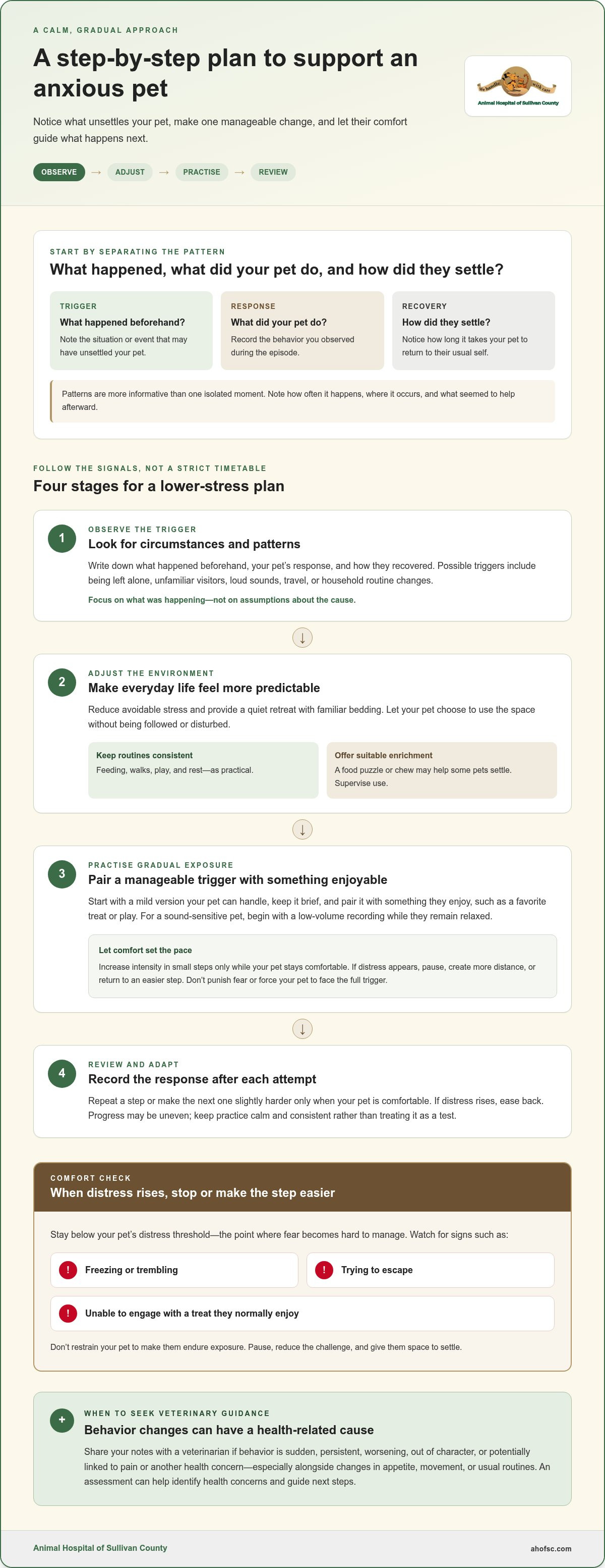 How to reduce pet anxiety naturally
