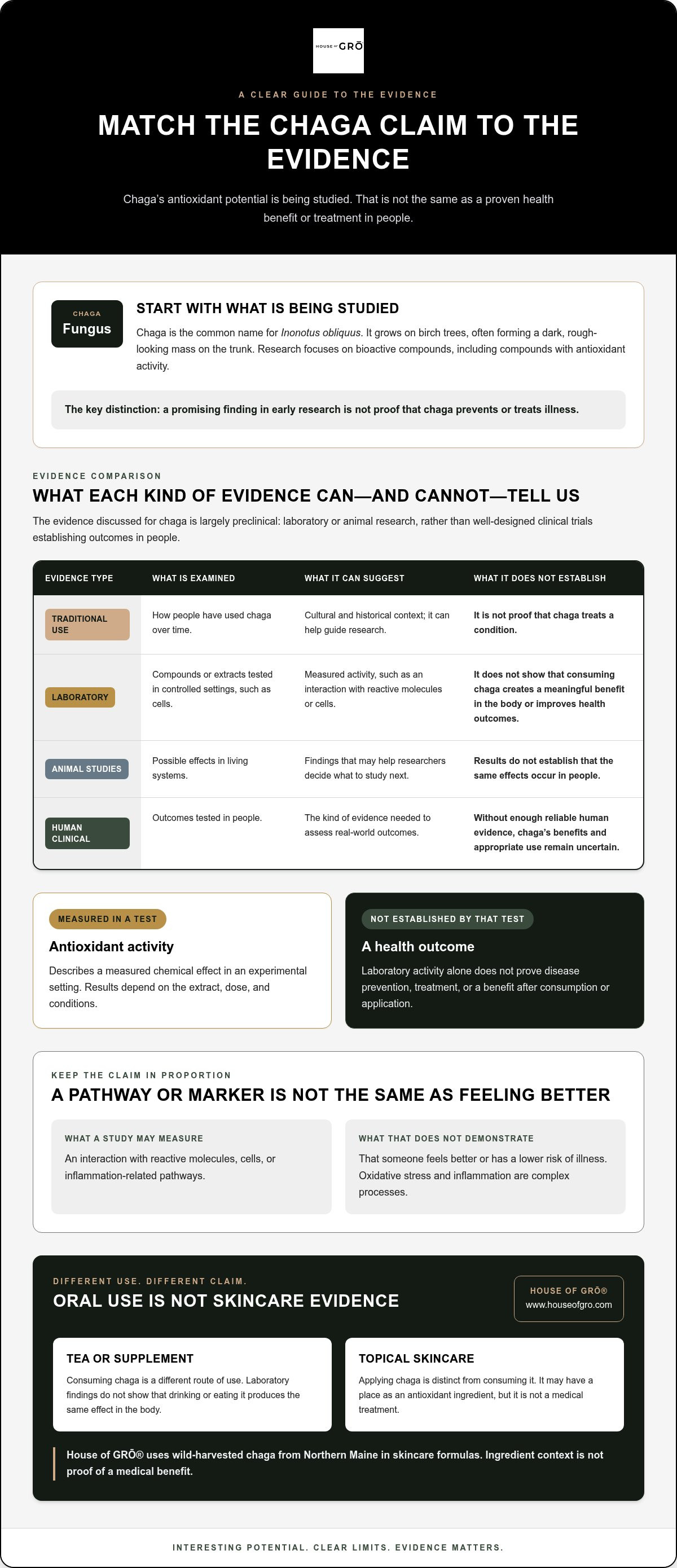What is chaga good for