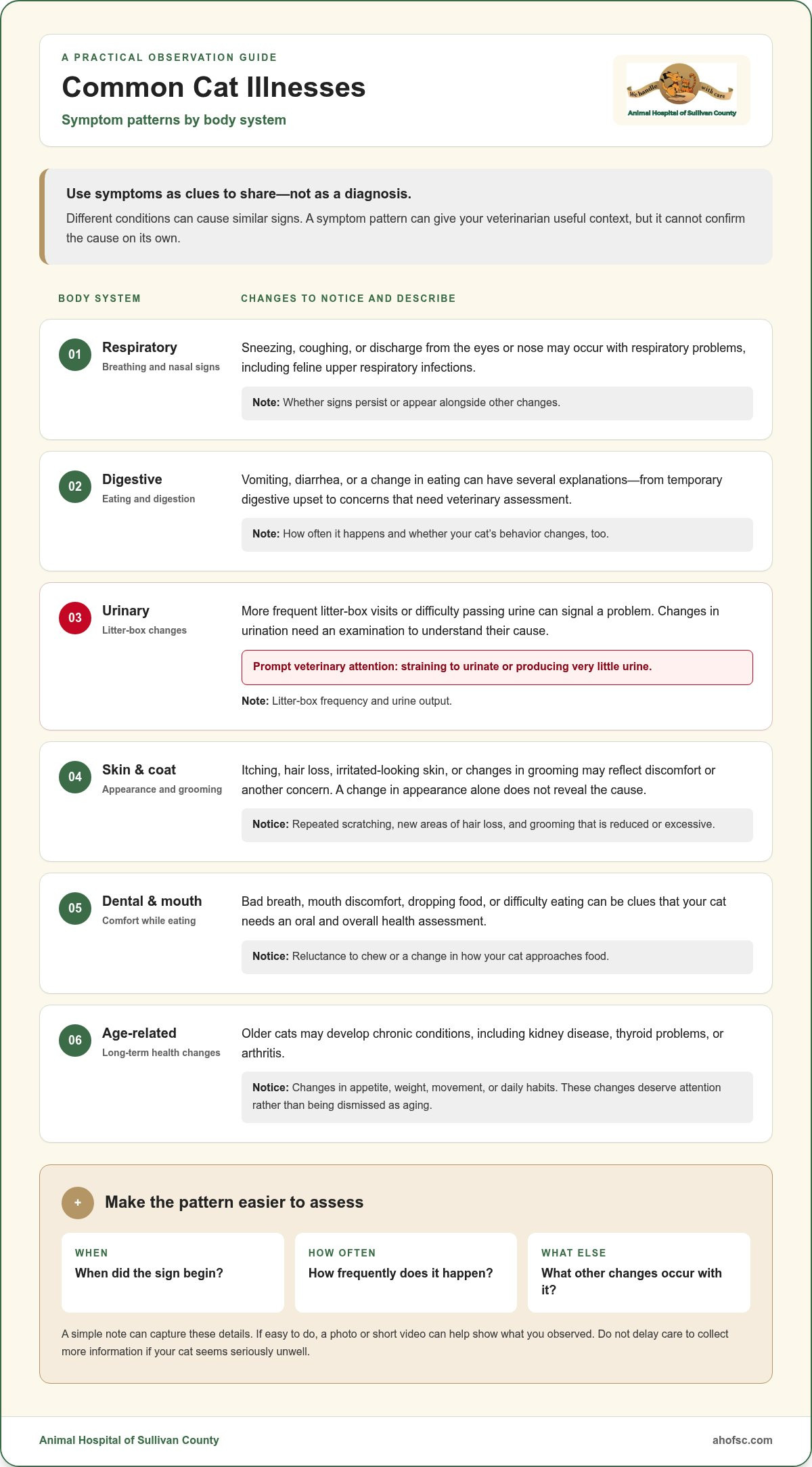 Common cat illnesses symptoms