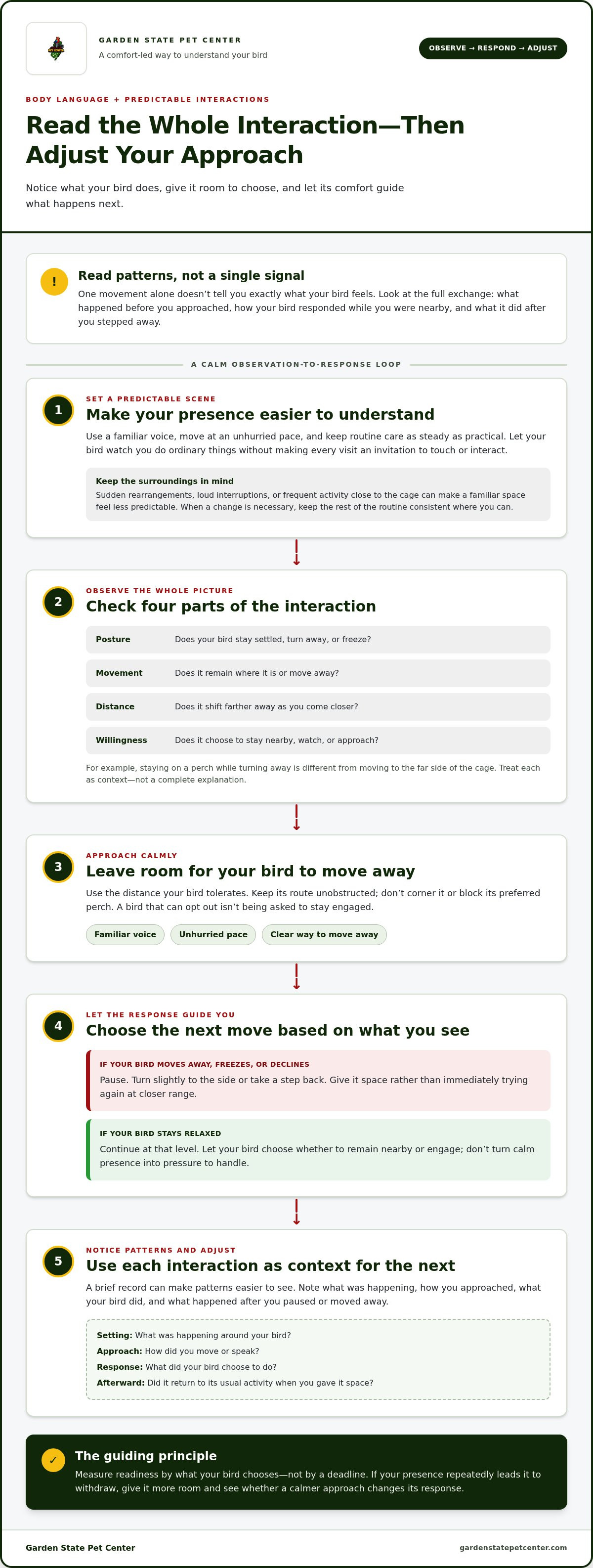 How to build trust with a shy bird