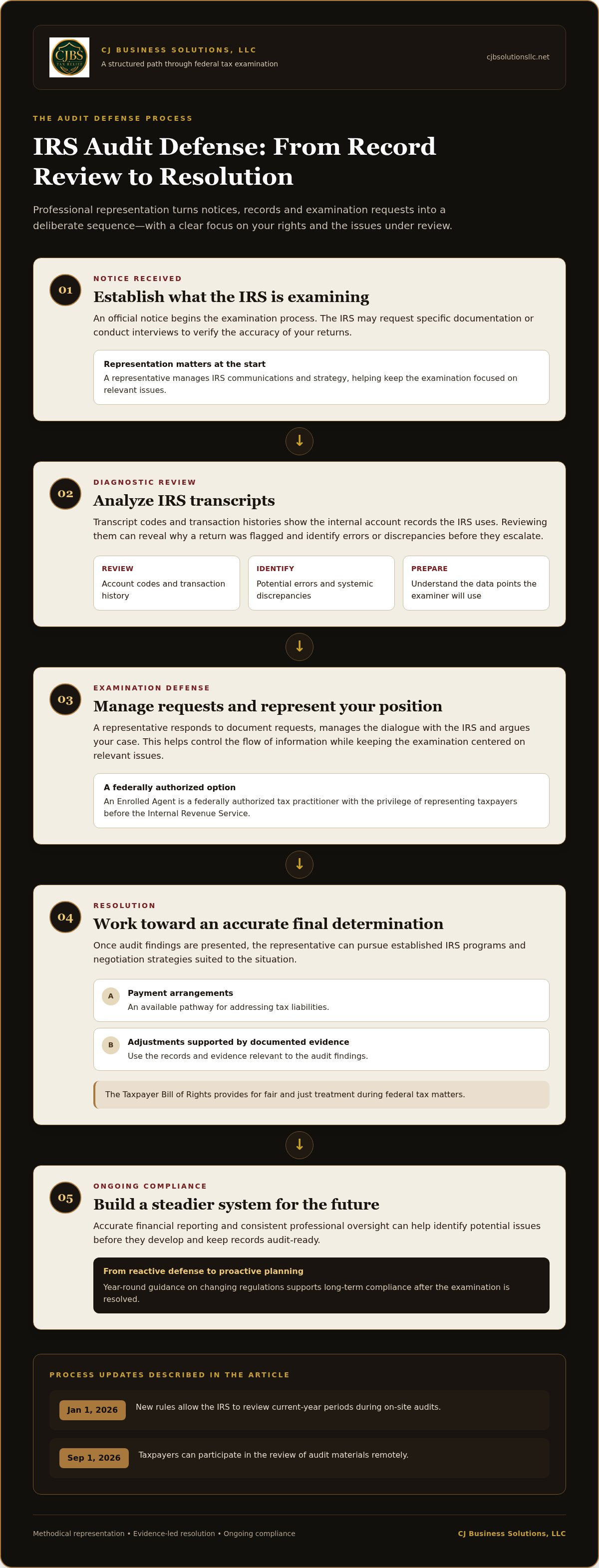 Professional tax audit support
