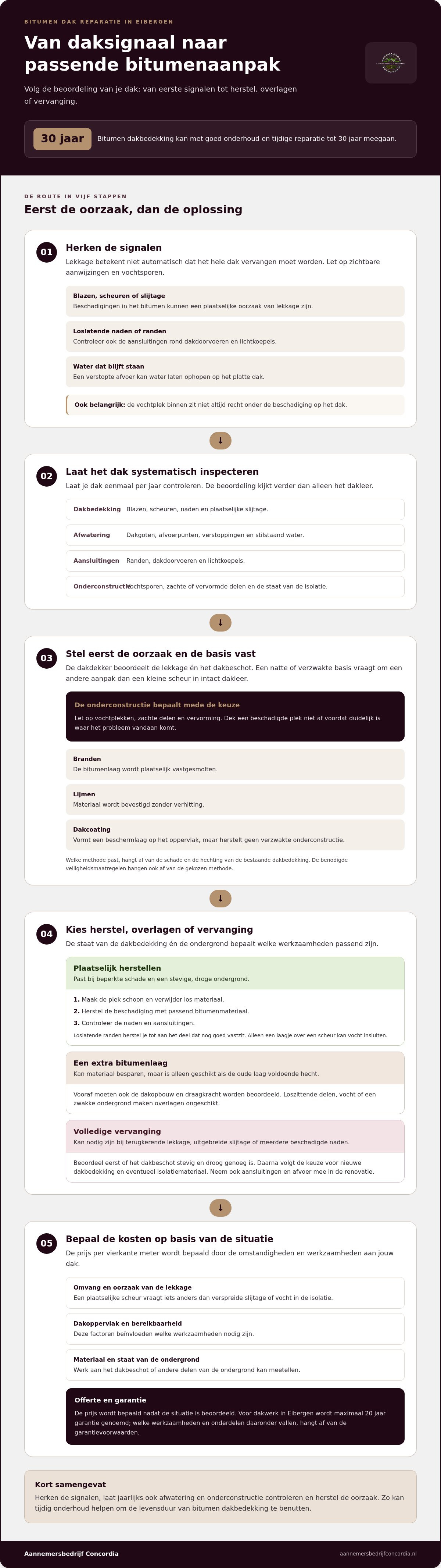 Bitumen dak reparatie Eibergen