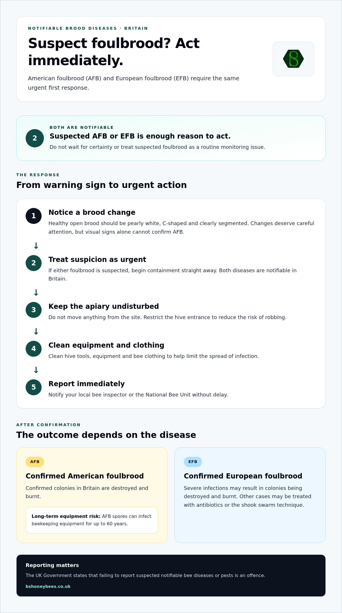 Common bee diseases uk