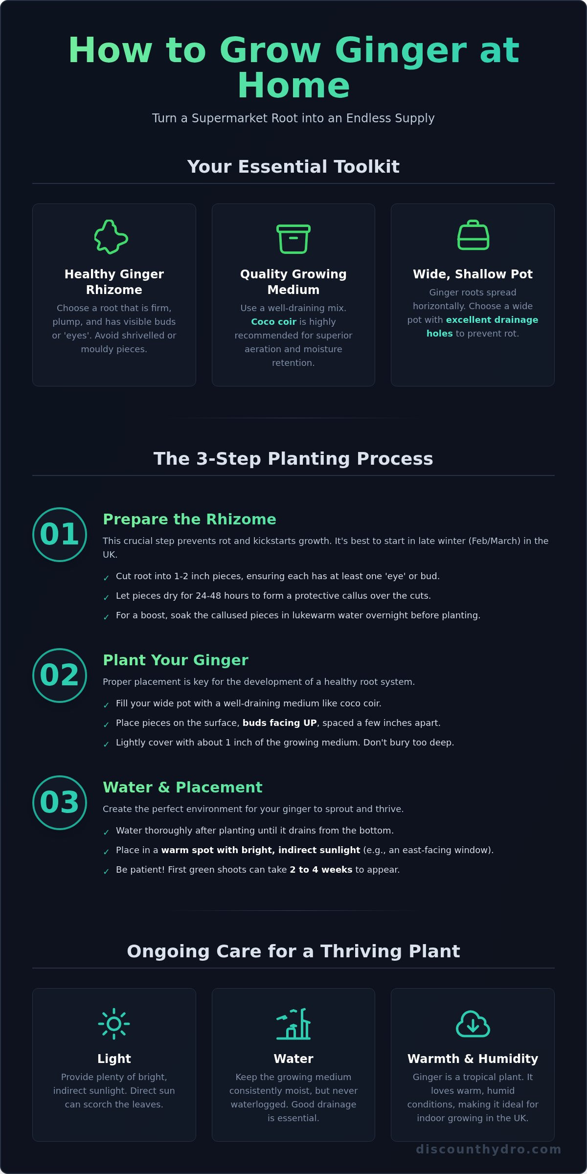 How to grow the ginger